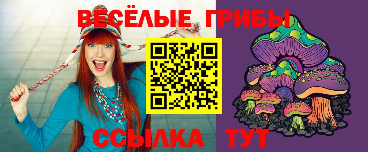 Галлюциногенные грибы Magic Shrooms  Вход с VPN  Каменка 